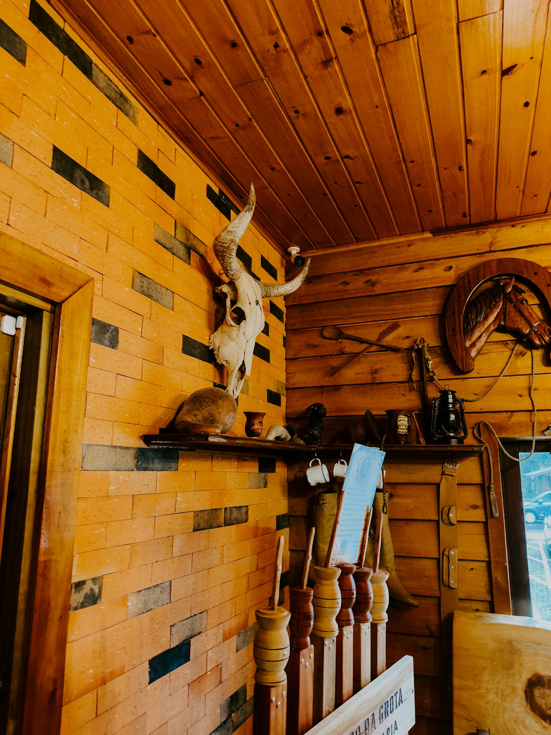 Cow skull and rustic decor on wooden wall