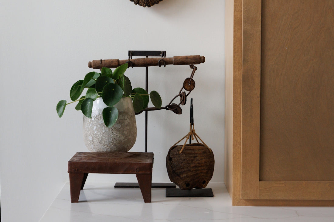 Potted plant and decorative items on a shelf