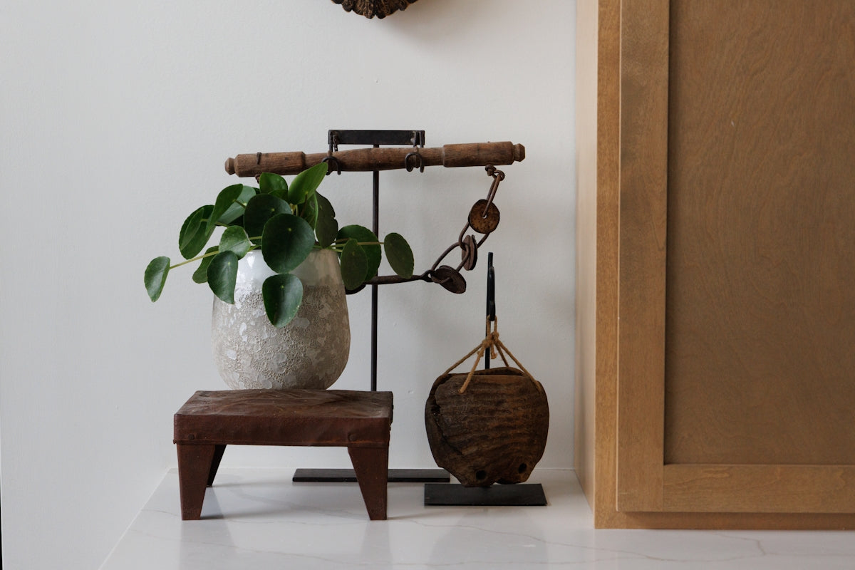 Potted plant and decorative items on a shelf